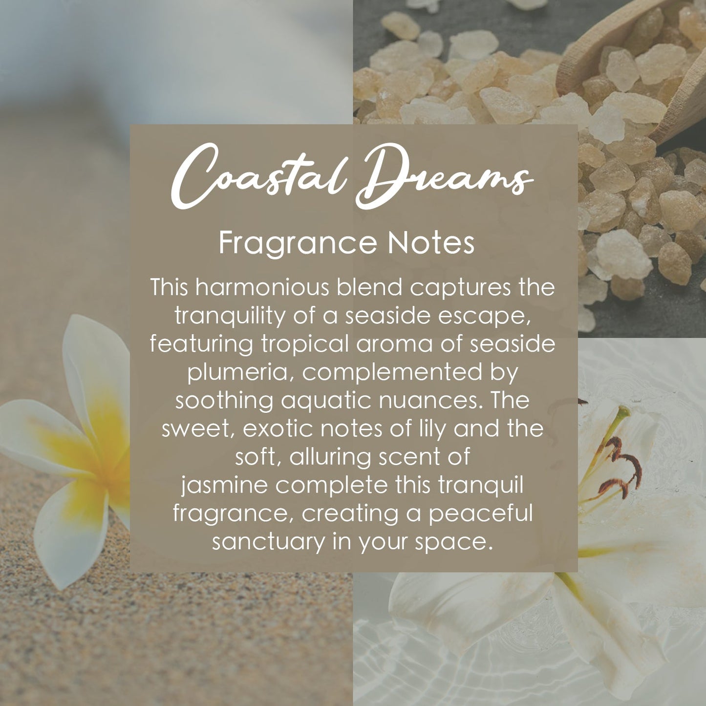 Taurus Zodiac Crystal-Enhanced Premium Coconut-Soy Wax Melts