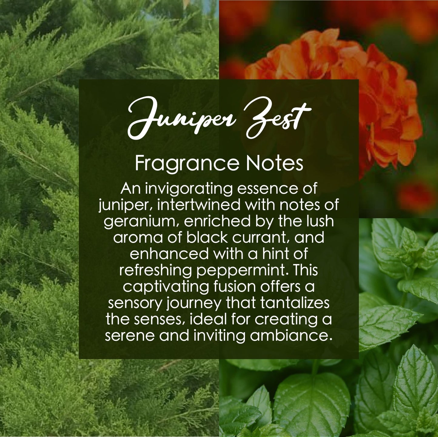 Juniper Zest Crystal Candle with Peach Aventurine | Coconut-Soy Wax Candle, 9oz